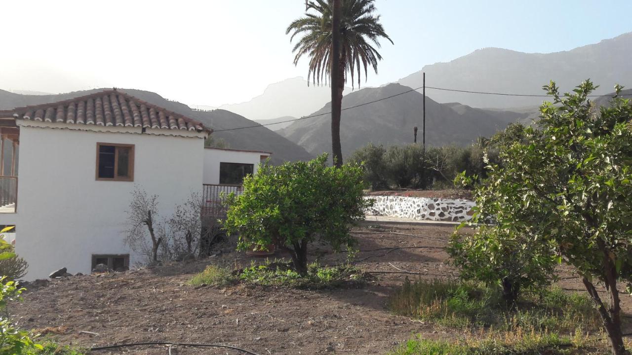 El Regalo De Mis Abuelos Santa Lucia De Tirajana Exterior photo