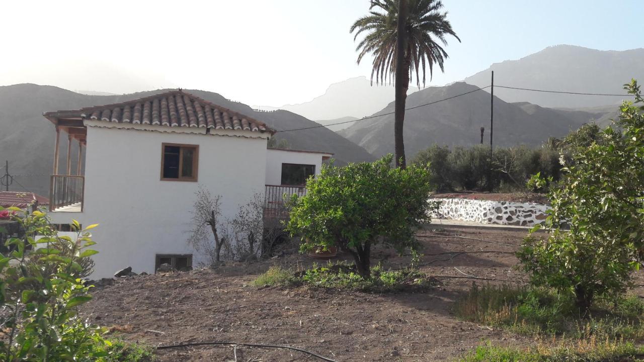 El Regalo De Mis Abuelos Santa Lucia De Tirajana Exterior photo